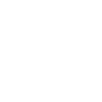 icon-digital